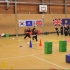 Dragons in action